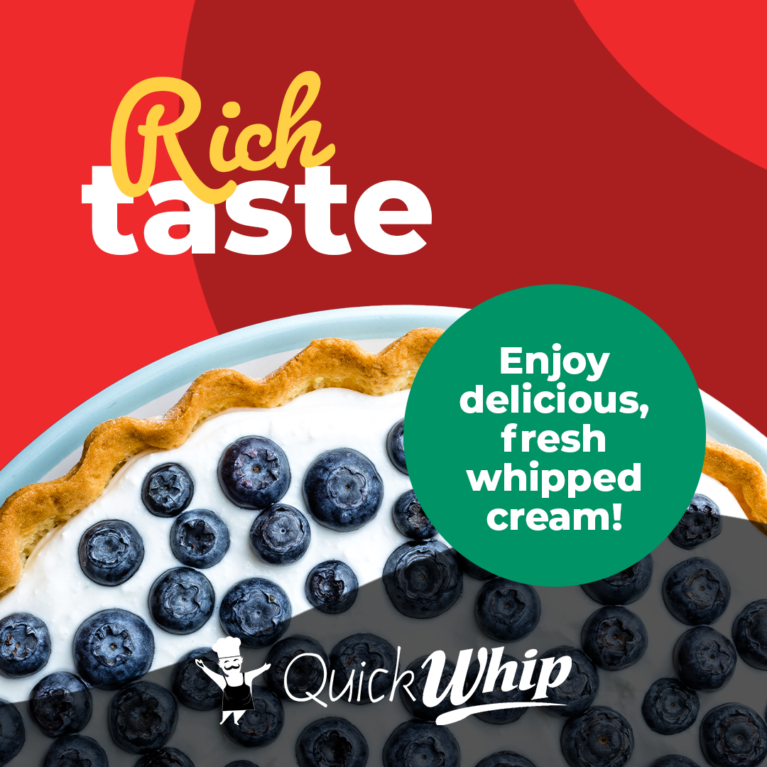 QuickWhip 9-gram N2O Cream Chargers in 24 Packs